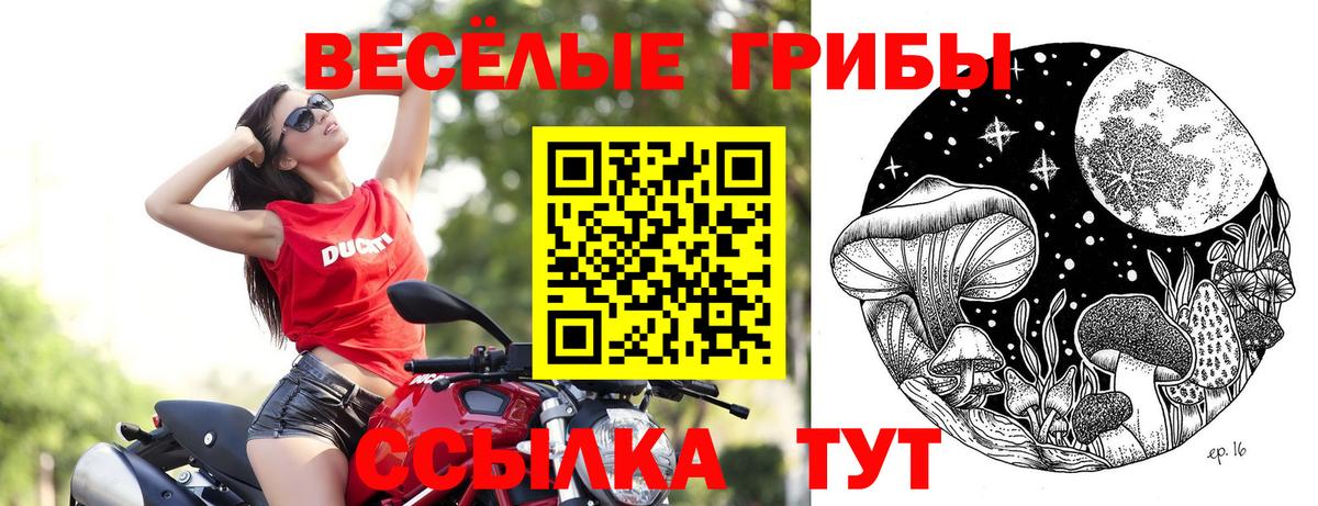 Галлюциногенные грибы Magic Shrooms Норильск