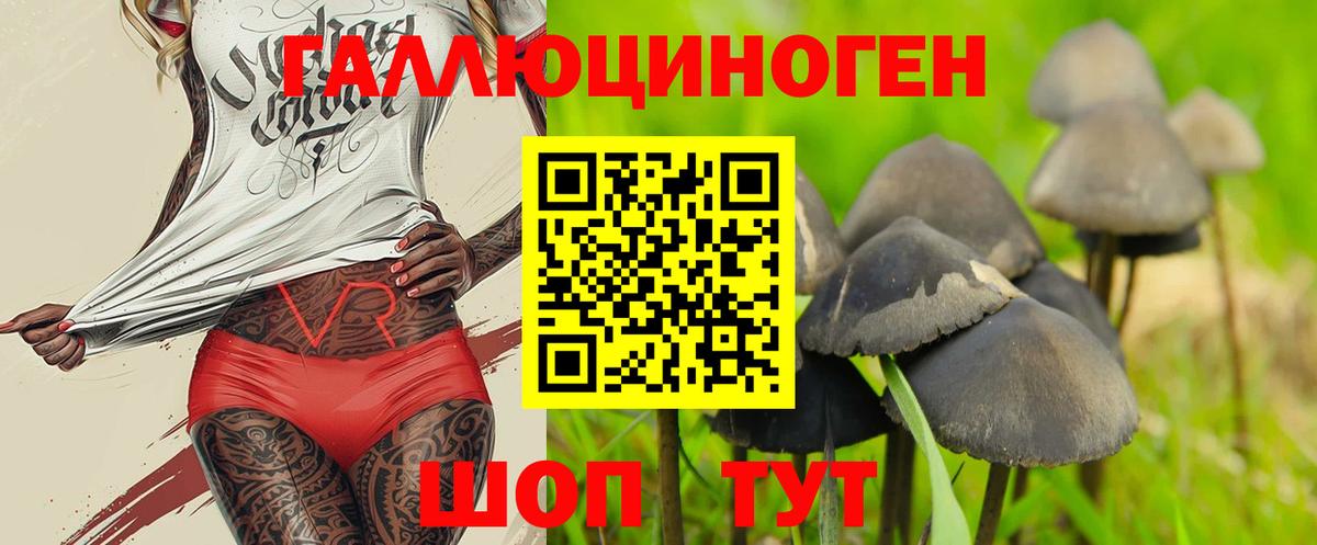 Норильск  цены   Вход с VPN  Псилоцибиновые грибы прущие грибы 